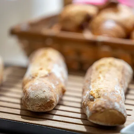 Nude - Color Vision 巴黎